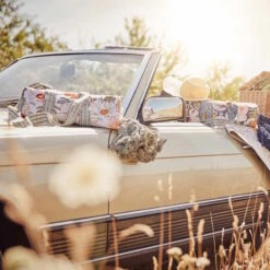 Picknickdecke L 175 X B 154cm BETWEEN FLOWERS In Creme -Butlers butlers picknickdecke l 175 x b 154cm between flowers in creme 11